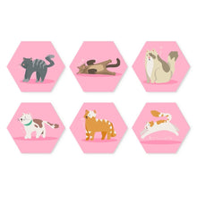 Afbeelding in Gallery-weergave laden, Mini Serie Schilderen op Nummer - Zeshoeken (6 stuks) - Dieren in roze