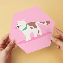 Afbeelding in Gallery-weergave laden, Mini Serie Schilderen op Nummer - Zeshoeken (6 stuks) - Dieren in roze