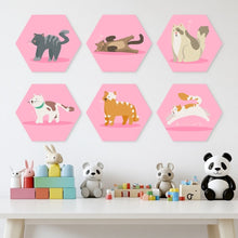 Afbeelding in Gallery-weergave laden, Mini Serie Schilderen op Nummer - Zeshoeken (6 stuks) - Dieren in roze