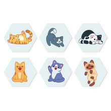 Afbeelding in Gallery-weergave laden, Mini Serie Schilderen op Nummer - Zeshoeken (6 stuks) - Kleine katten