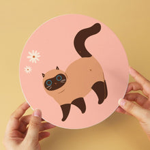 Afbeelding in Gallery-weergave laden, Mini Serie Schilderen op Nummer - Schijven Ø20cm (6 stuks) - De nieuwsgierige katten
