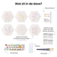 Afbeelding in Gallery-weergave laden, Mini Serie Schilderen op Nummer - Zeshoeken (6 stuks) - Bloemenset