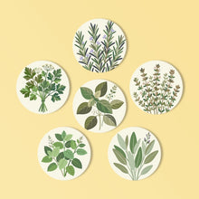 Afbeelding in Gallery-weergave laden, Schilderen op Nummer Onderzetters 10cm (6 stuks) - Aromatische Kruiden