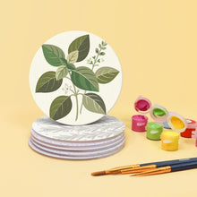 Afbeelding in Gallery-weergave laden, Schilderen op Nummer Onderzetters 10cm (6 stuks) - Aromatische Kruiden