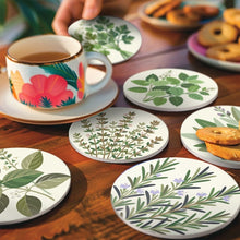 Afbeelding in Gallery-weergave laden, Schilderen op Nummer Onderzetters 10cm (6 stuks) - Aromatische Kruiden