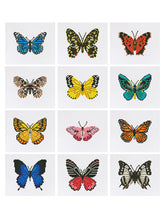 Afbeelding in Gallery-weergave laden, Mini Serie Diamond Painting Vlinders 2