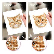 Afbeelding in Gallery-weergave laden, Mini Diamond Painting 15x20cm (4 stuks) - Kattenvrienden