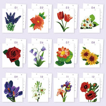 Afbeelding in Gallery-weergave laden, Kalender Schilderen op Nummers 2026 - Seizoensbloemen