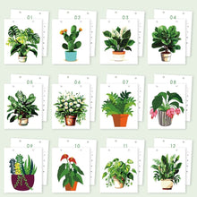 Afbeelding in Gallery-weergave laden, Kalender Schilderen op Nummers 2026 - Kamerplanten in Pot