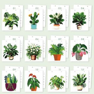 Kalender Schilderen op Nummers 2026 - Kamerplanten in Pot