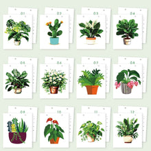 Afbeelding in Gallery-weergave laden, Kalender Schilderen op Nummers 2027 - Kamerplanten in Pot