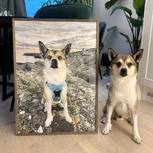 Afbeelding in Gallery-weergave laden, Schilderen op nummer Eigen foto - van 40x50 cm tot 80x120 cm