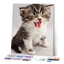 Afbeelding in Gallery-weergave laden, Diamond Painting - Leuk Katje dieren, katten, Diamond Painting Dieren