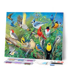 Afbeelding in Gallery-weergave laden, Diamond Painting - Tropische vogels dieren, vogels, Diamond Painting Dieren