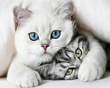 Afbeelding in Gallery-weergave laden, Diamond Painting - Vrienden Katten dieren, katten, Diamond Painting Dieren