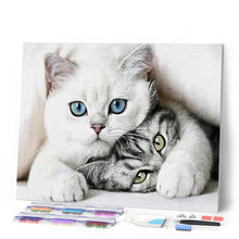 Afbeelding in Gallery-weergave laden, Diamond Painting - Vrienden Katten dieren, katten, Diamond Painting Dieren