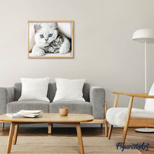 Afbeelding in Gallery-weergave laden, Diamond Painting - Vrienden Katten dieren, katten, Diamond Painting Dieren