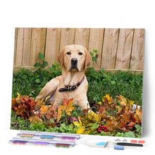 Afbeelding in Gallery-weergave laden, Diamond Painting - Labrador dieren, Diamond Painting Dieren