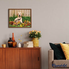 Afbeelding in Gallery-weergave laden, Diamond Painting - Labrador dieren, Diamond Painting Dieren