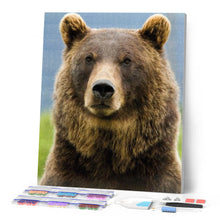 Afbeelding in Gallery-weergave laden, Diamond Painting - Beer dieren, beer, Diamond Painting Dieren