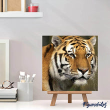 Afbeelding in Gallery-weergave laden, Diamond Painting - Tijger dieren, Diamond Painting Dieren, tijgers
