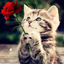 Afbeelding in Gallery-weergave laden, Diamond Painting - Kat met roos dieren, katten, Diamond Painting Dieren, Diamond Painting Bloemen, bloemen