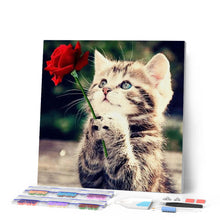 Afbeelding in Gallery-weergave laden, Diamond Painting - Kat met roos dieren, katten, Diamond Painting Dieren, Diamond Painting Bloemen, bloemen