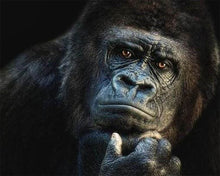Afbeelding in Gallery-weergave laden, Diamond Painting - Gorilla dieren, Diamond Painting Dieren, apen