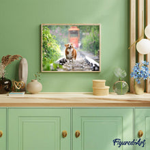 Afbeelding in Gallery-weergave laden, Diamond Painting - Hond op het spoor