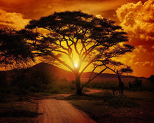 Afbeelding in Gallery-weergave laden, Diamond Painting - Grote boom en zonsopgang