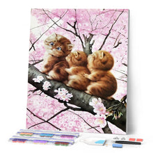 Afbeelding in Gallery-weergave laden, Diamond Painting - Drie kittens op een tak dieren, katten, Diamond Painting Dieren