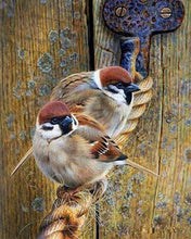 Afbeelding in Gallery-weergave laden, Diamond Painting - Mussen aan een touw dieren, Diamond Painting Dieren