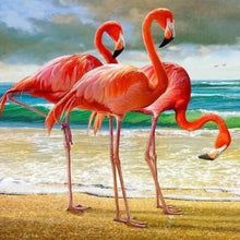 Afbeelding in Gallery-weergave laden, Diamond Painting - Drie Flamingo's dieren, Diamond Painting Dieren, flamingo's