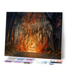 Afbeelding in Gallery-weergave laden, Diamond Painting - Bosweg