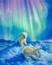 Afbeelding in Gallery-weergave laden, Diamond Painting - Beren en noorderlicht dieren, beer, Diamond Painting Dieren