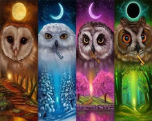 Afbeelding in Gallery-weergave laden, Diamond Painting - Veelkleurige uilen dieren, Diamond Painting Dieren, uilen