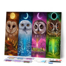 Afbeelding in Gallery-weergave laden, Diamond Painting - Veelkleurige uilen dieren, Diamond Painting Dieren, uilen