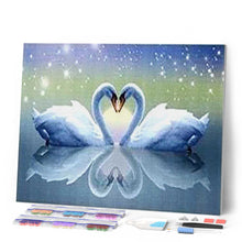 Afbeelding in Gallery-weergave laden, Diamond Painting - Zwanen en hart dieren, vogels, Diamond Painting Dieren, Diamond Painting Romantiek, romantiek, zwanen
