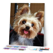 Afbeelding in Gallery-weergave laden, Diamond Painting - Schattige kleine hond