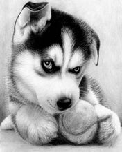 Afbeelding in Gallery-weergave laden, Diamond Painting - Kleine husky dieren, Diamond Painting Dieren