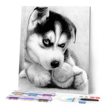 Afbeelding in Gallery-weergave laden, Diamond Painting - Kleine husky dieren, Diamond Painting Dieren
