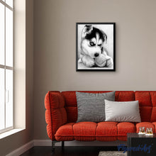 Afbeelding in Gallery-weergave laden, Diamond Painting - Kleine husky dieren, Diamond Painting Dieren