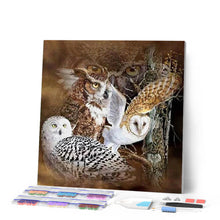 Afbeelding in Gallery-weergave laden, Diamond Painting - Uilen dieren, Diamond Painting Dieren, uilen