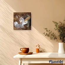 Afbeelding in Gallery-weergave laden, Diamond Painting - Uilen dieren, Diamond Painting Dieren, uilen