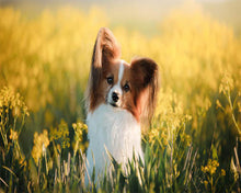 Afbeelding in Gallery-weergave laden, Diamond Painting - Hondje in een veld