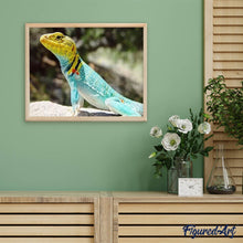 Afbeelding in Gallery-weergave laden, Diamond Painting - Hagedis dieren, Diamond Painting Dieren