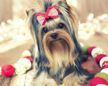 Afbeelding in Gallery-weergave laden, Diamond Painting - Schattig hondje