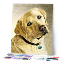 Afbeelding in Gallery-weergave laden, Diamond Painting - Portret van een Labrador