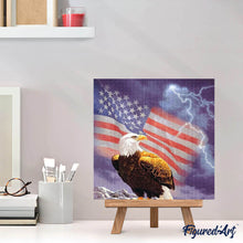 Afbeelding in Gallery-weergave laden, Diamond Painting - Amerikaanse zeearend dieren, Diamond Painting Dieren, adelaars