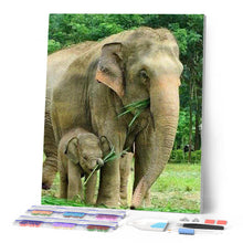 Afbeelding in Gallery-weergave laden, Diamond Painting - Olifant en pasgeborene dieren, Diamond Painting Dieren, olifanten